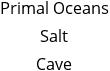 Primal Oceans Salt Cave