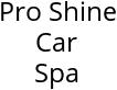 Pro Shine Car Spa