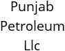 Punjab Petroleum Llc