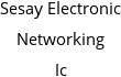 Sesay Electronic Networking Ic