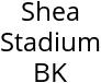 Shea Stadium BK