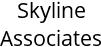 Skyline Associates