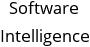 Software Intelligence