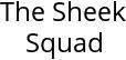 The Sheek Squad