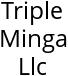 Triple Minga Llc