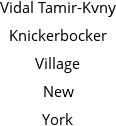 Vidal Tamir-Kvny Knickerbocker Village New York