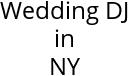 Wedding DJ in NY